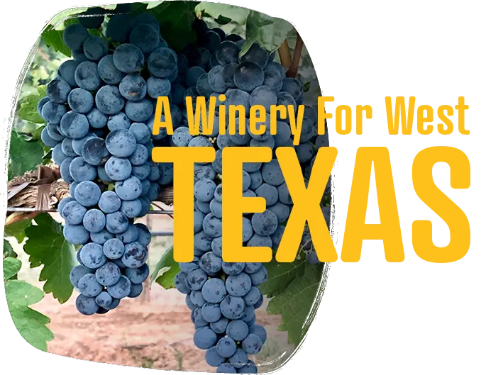 Graphic of grapes and "Winery For West Texas" messaging